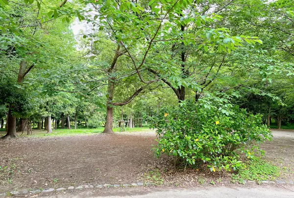 市民の森（大阪城公園内）の写真・動画_image_1373811