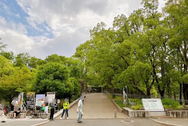 大阪城の写真・動画_image_1374325