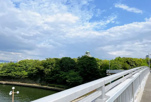 大阪城公園の写真・動画_image_1374439