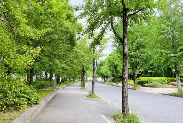 大阪城公園の写真・動画_image_1374481
