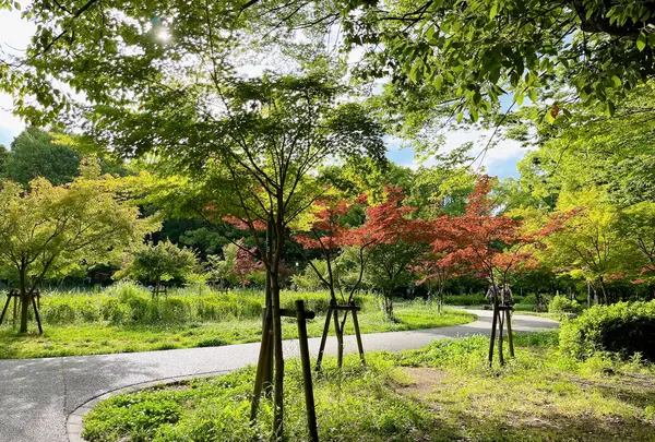 大阪城公園の写真・動画_image_1374492