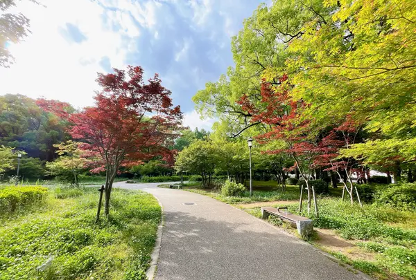 大阪城公園の写真・動画_image_1374494
