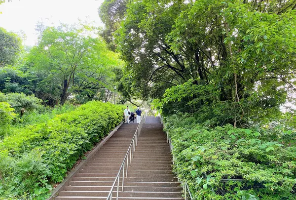大阪城公園の写真・動画_image_1374496