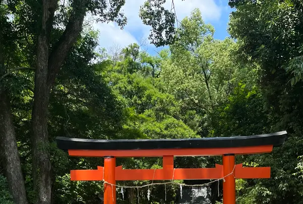 半木神社の写真・動画_image_1382448