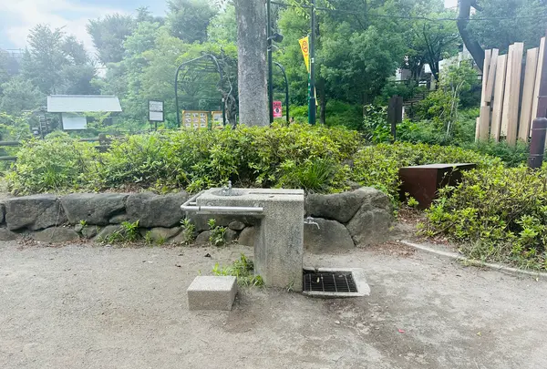 鍋島松濤公園の写真・動画_image_1387171