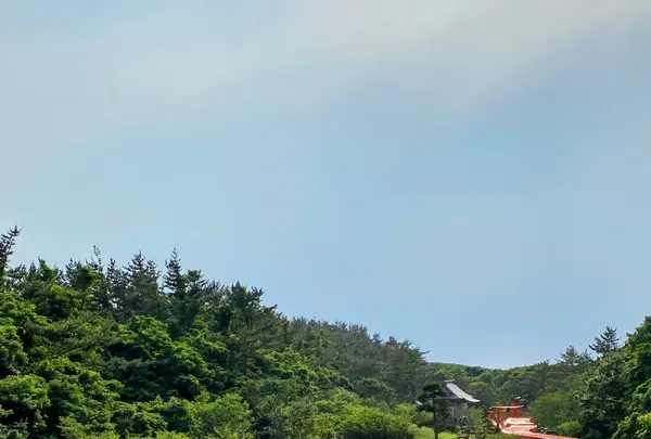 高山稲荷神社の写真・動画_image_1390488