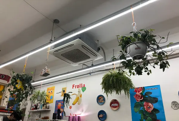 Frolla Seoul（프롤라）の写真・動画_image_1412456