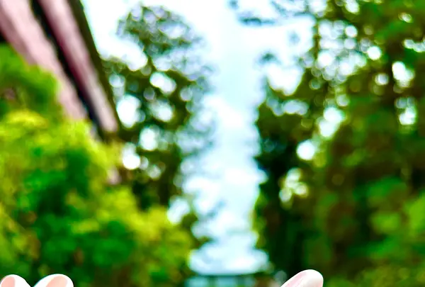 岡崎神社の写真・動画_image_1454324