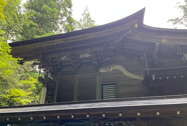 宝登山神社の写真・動画_image_1457111