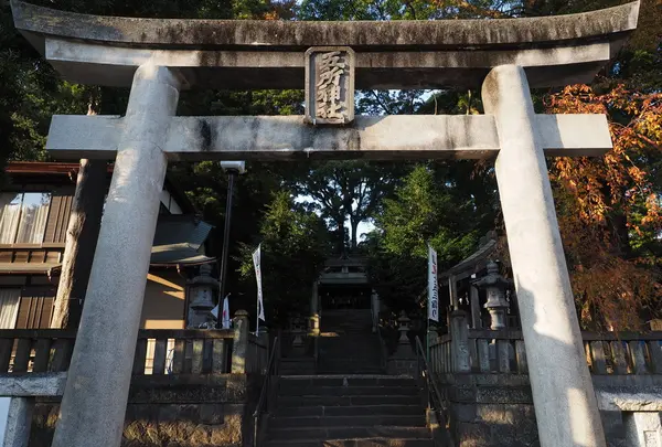 五所神社の写真・動画_image_146907