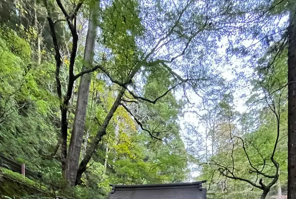 貴船神社の写真・動画_image_1473146