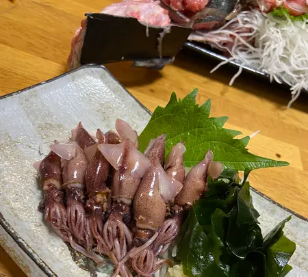 魚の松本の写真・動画_image_1528432