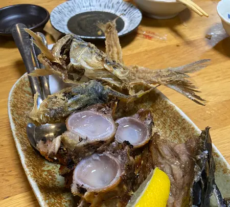 魚の松本の写真・動画_image_1528438