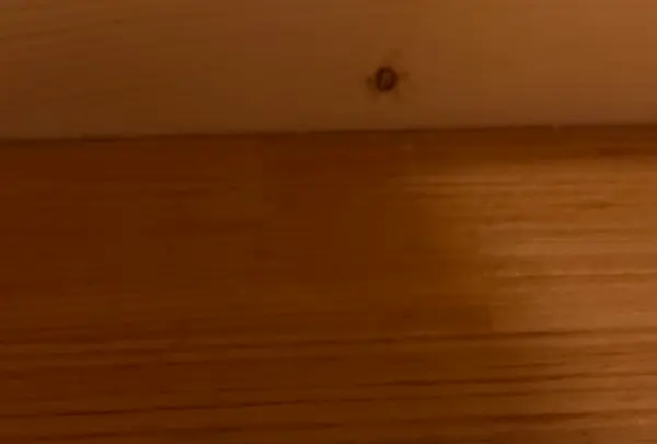 かつ丼あらたの写真・動画_image_1539297