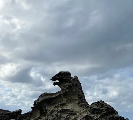 ゴジラ岩の写真・動画_image_1551328