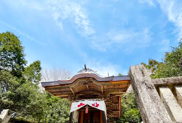 和気神社の写真・動画_image_1576753