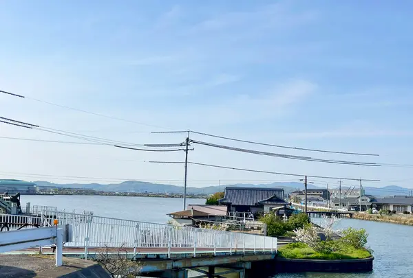 横樋観音の写真・動画_image_1577531