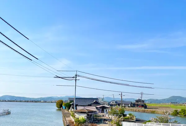 横樋観音の写真・動画_image_1577532