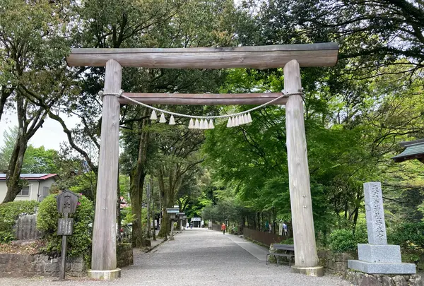 天岩戸神社西本宮の写真・動画_image_1579585