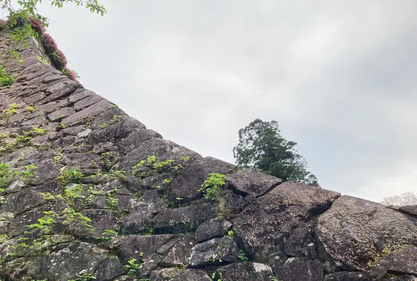 延岡城址の写真・動画_image_1579612