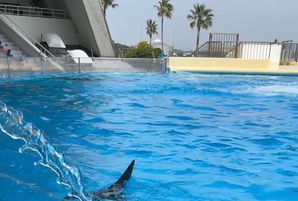 マリンワールド海の中道の写真・動画_image_1591821