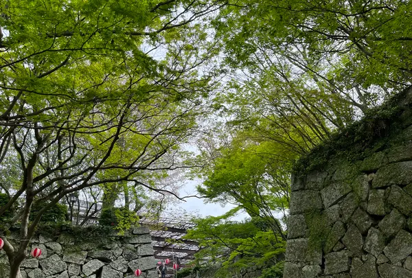 唐津城の写真・動画_image_1591846