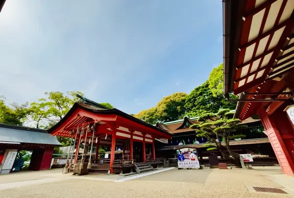 住吉神社の写真・動画_image_1596639