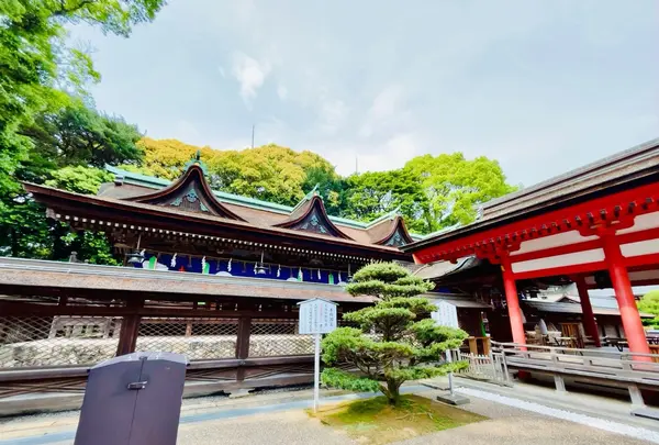 住吉神社の写真・動画_image_1596640