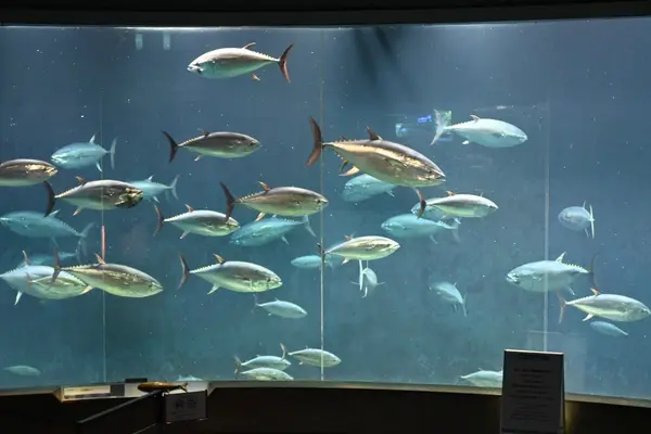 葛西臨海水族園の写真・動画_image_1608022