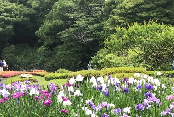 二の丸庭園の写真・動画_image_1610637