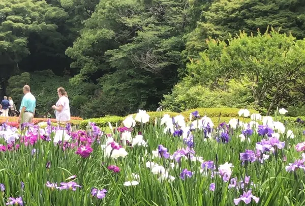 二の丸庭園の写真・動画_image_1610638