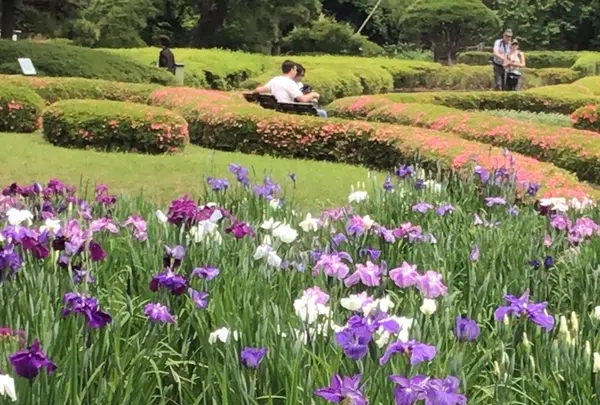 二の丸庭園の写真・動画_image_1610640