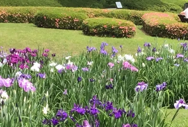二の丸庭園の写真・動画_image_1610643