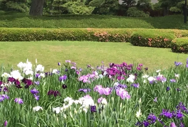 二の丸庭園の写真・動画_image_1610644