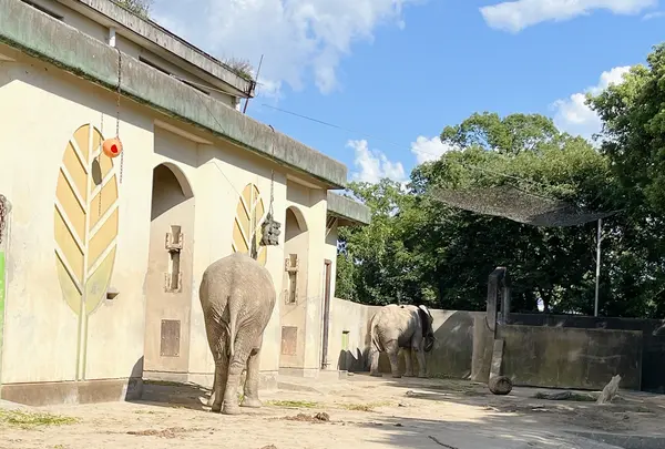 熊本市動植物園の写真・動画_image_1620502
