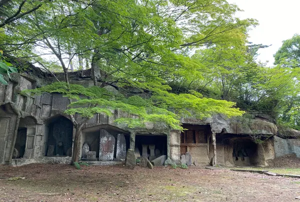 雄島の写真・動画_image_1642170