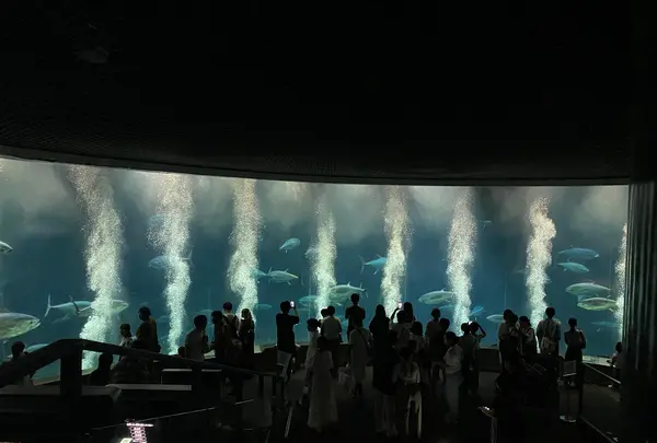葛西臨海水族園の写真・動画_image_1672699