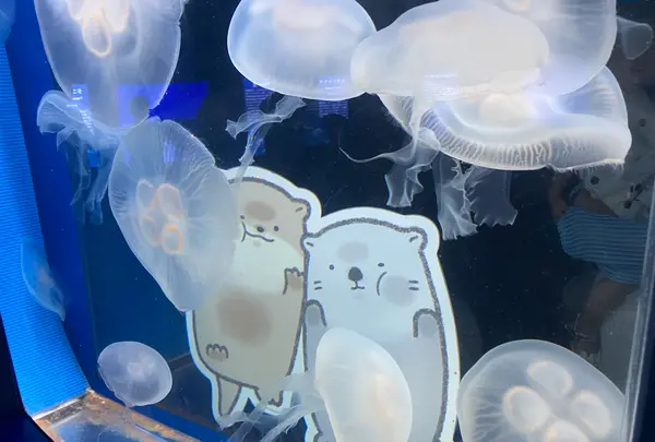 しながわ水族館の写真・動画_image_1672700