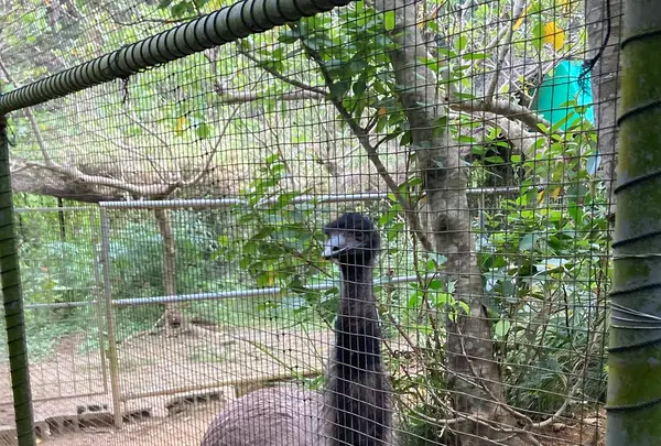 ネオパークオキナワの写真・動画_image_1732562