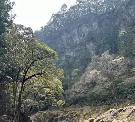 高千穂峡の写真・動画_image_1746992
