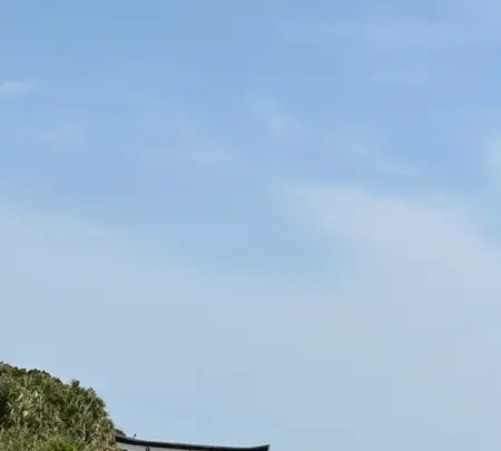 青島神社の写真・動画_image_1747003
