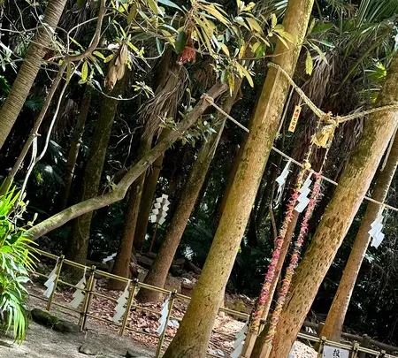 青島神社の写真・動画_image_1747005