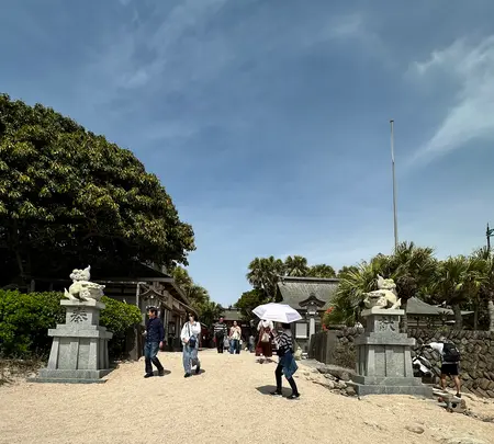 青島神社の写真・動画_image_1747006