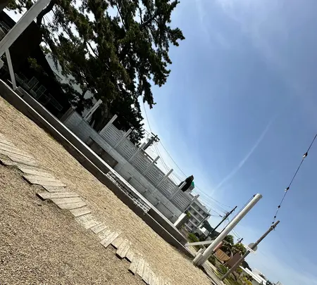 青島神社の写真・動画_image_1747007