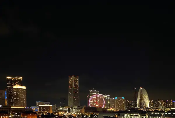 横浜港大さん橋国際客船ターミナル（大さん橋）の写真・動画_image_1759109