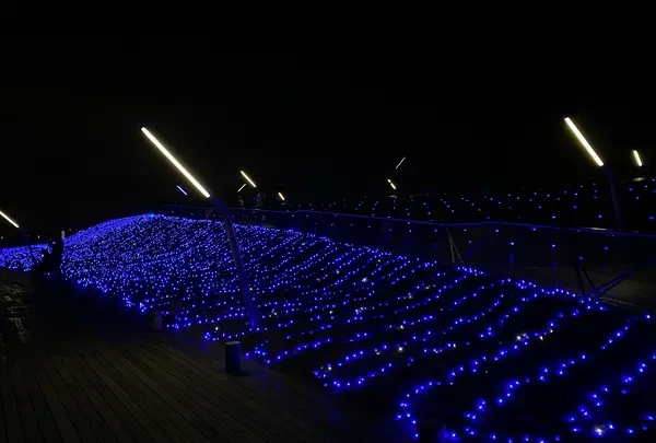 横浜港大さん橋国際客船ターミナル（大さん橋）の写真・動画_image_1759110