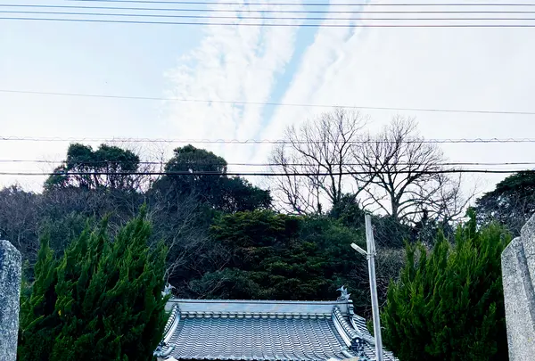 厳島神社の写真・動画_image_1783318