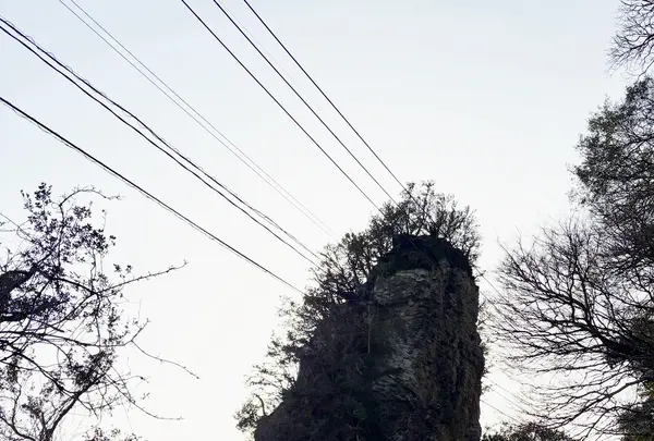 立岩の写真・動画_image_1783335