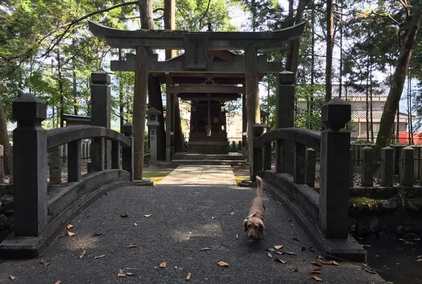 市杵島姫神社の写真・動画_image_179221