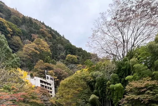 紫雲荘の写真・動画_image_1799445